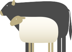 Mezcla de oveja y vaca